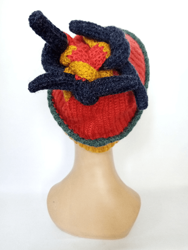 Bonnet ski multicolore original unisex