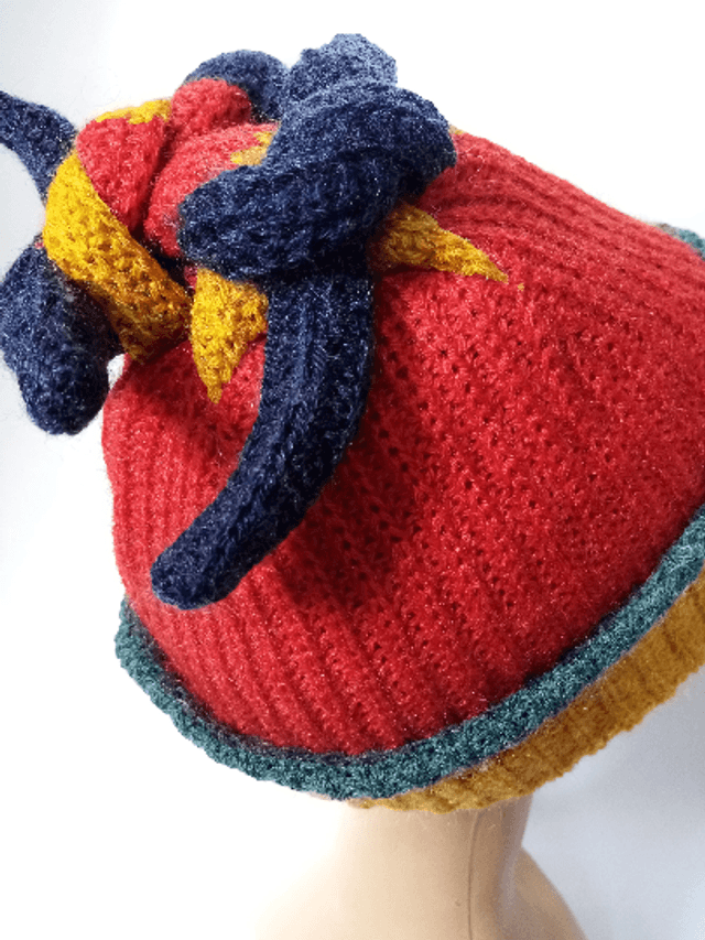 Bonnet ski multicolore original unisex