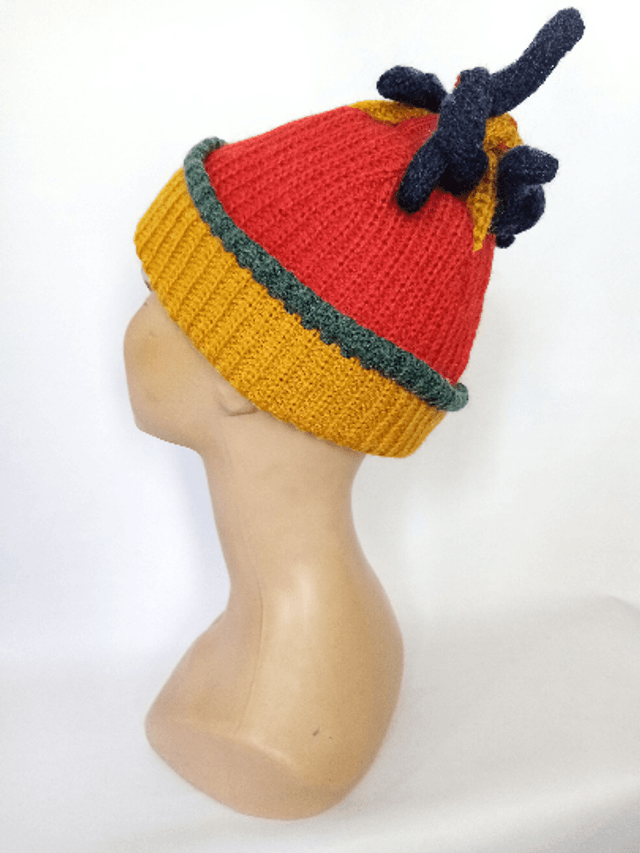 Bonnet ski multicolore original unisex